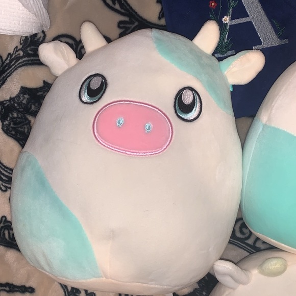 Belana the cow squishmallow bundle of 5 different cow squishmallows - Picture 6 of 6